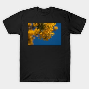 Wattle 1 T-Shirt